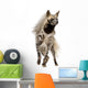 Striped Hyena Wall Decal