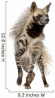 Striped Hyena Wall Decal