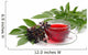 Tee Holunder Tea Elder Wall Decal