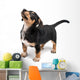 Dachshund Wall Decal