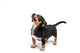 Dachshund Wall Decal