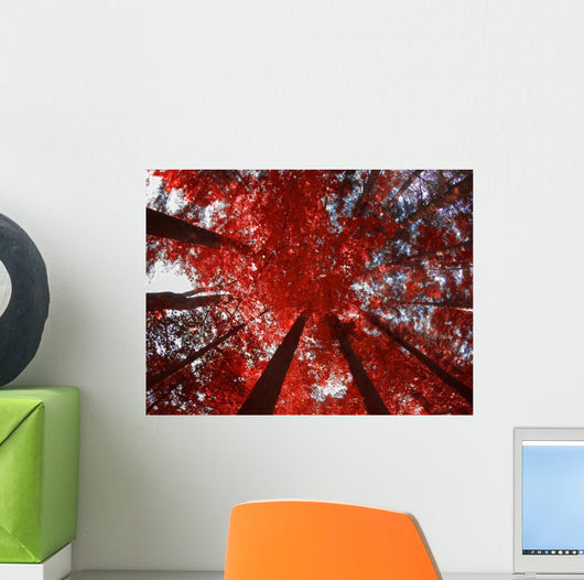Red Trees Wall Decal