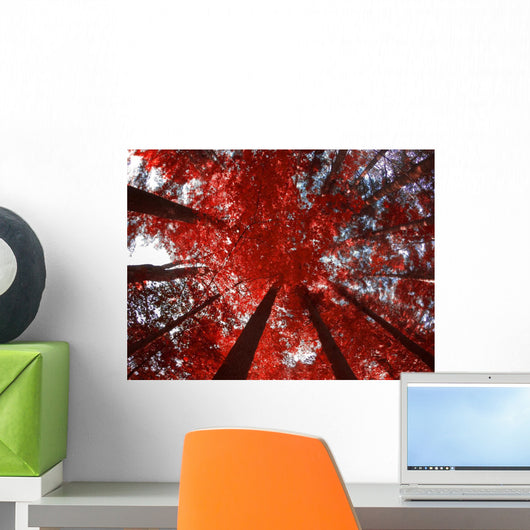 Red Trees Wall Decal