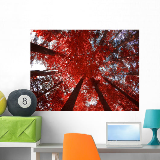 Red Trees Wall Decal