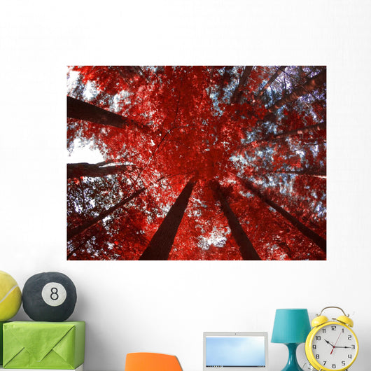 Red Trees Wall Decal