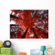 Red Trees Wall Decal