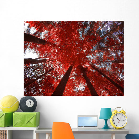 Red Trees Wall Decal