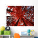 Red Trees Wall Decal