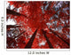 Red Trees Wall Decal