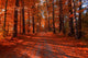 Fall Drive Wall Decal