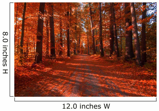 Fall Drive Wall Decal