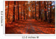 Fall Drive Wall Decal