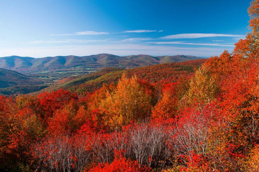 Fall Hike Wall Decal