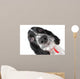Springer Spaniel Puppy up Wall Decal