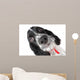 Springer Spaniel Puppy up Wall Decal