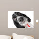 Springer Spaniel Puppy up Wall Decal