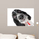 Springer Spaniel Puppy up Wall Decal