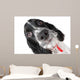Springer Spaniel Puppy up Wall Decal