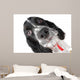 Springer Spaniel Puppy up Wall Decal
