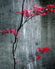 Autumn Rain Wall Decal