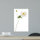 White Japanese Anemone White Wall Decal