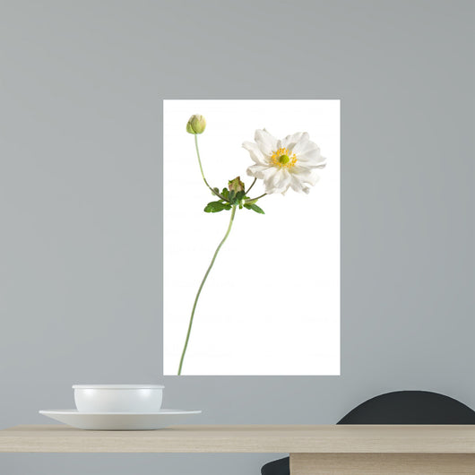 White Japanese Anemone White Wall Decal