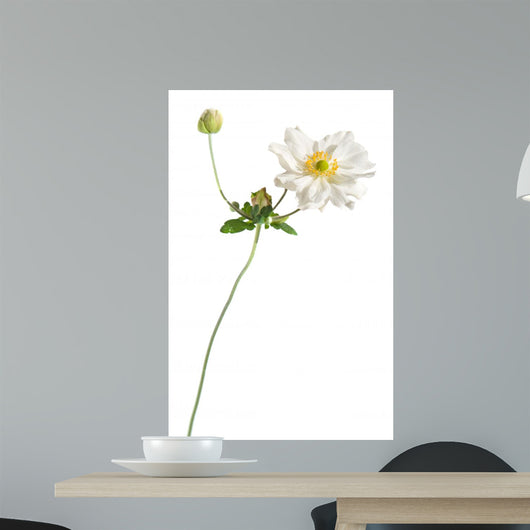 White Japanese Anemone White Wall Decal