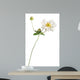 White Japanese Anemone White Wall Decal