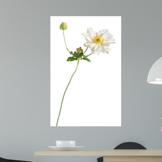 White Japanese Anemone White Wall Decal