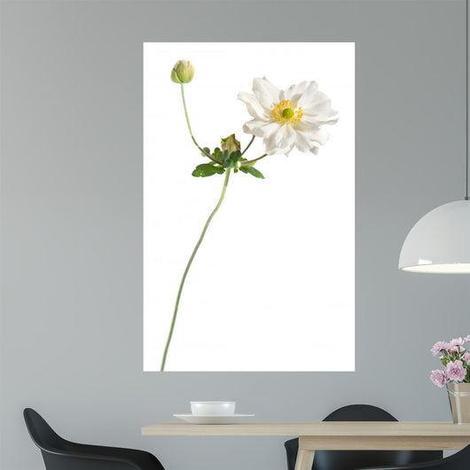 White Japanese Anemone White Wall Decal