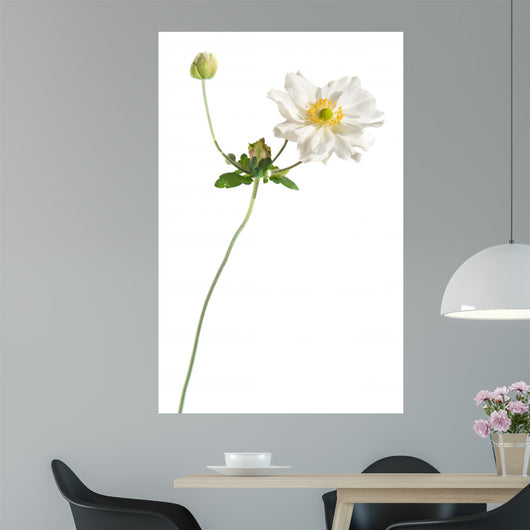 White Japanese Anemone White Wall Decal