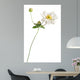 White Japanese Anemone White Wall Decal