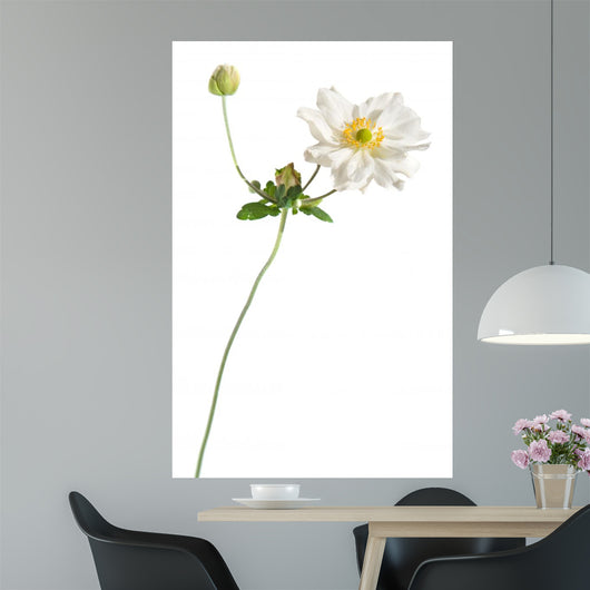 White Japanese Anemone White Wall Decal