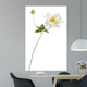 White Japanese Anemone White Wall Decal