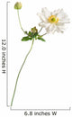 White Japanese Anemone White Wall Decal
