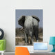 Elephant Loxodonta Africana Wall Decal