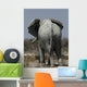 Elephant Loxodonta Africana Wall Decal