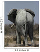 Elephant Loxodonta Africana Wall Decal