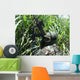 Airsoft Tactical Simulation Attack Wall Decal