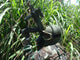 Airsoft Tactical Simulation Attack Wall Decal