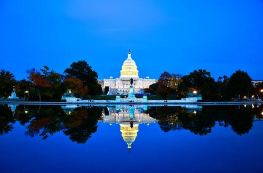 United States Capitol Building Wall Decal