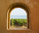 Arched Vineyard Window Wall Decal