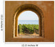 Arched Vineyard Window Wall Decal