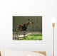 Okapi Wall Decal