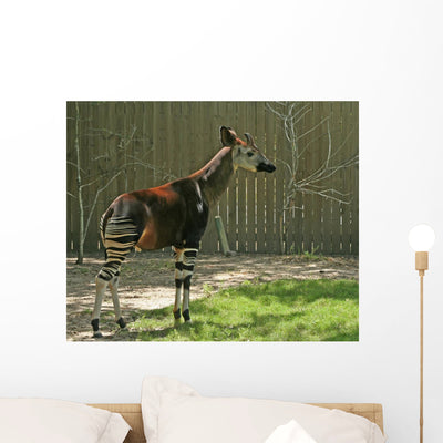 Okapi Wall Decal shown on a wall