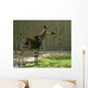 Okapi Wall Decal