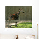 Okapi Wall Decal