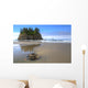 Sea Star Tide Pool Wall Decal