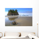 Sea Star Tide Pool Wall Decal