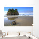 Sea Star Tide Pool Wall Decal